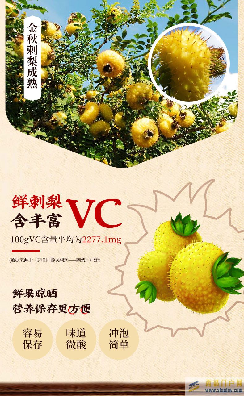 貴州特產：維C之王刺梨
