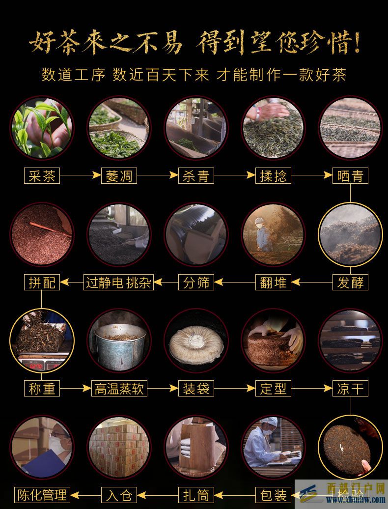 云南特產(chǎn)：普洱茶(圖10)