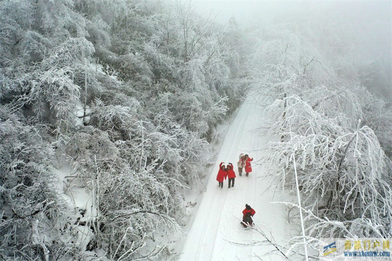 重慶黔江：高山春雪醉游客(圖1)