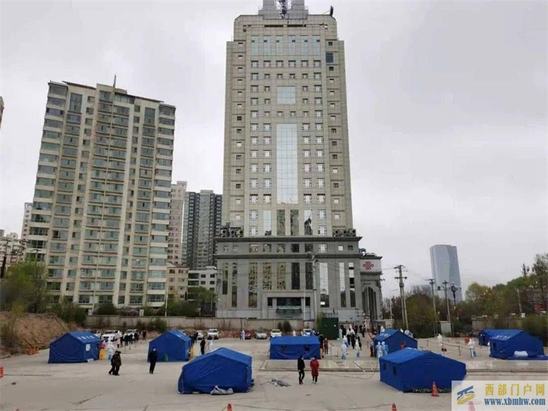 不慌的西寧(圖1)