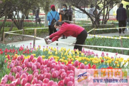@西寧人這份游園攻略請收好(圖1)