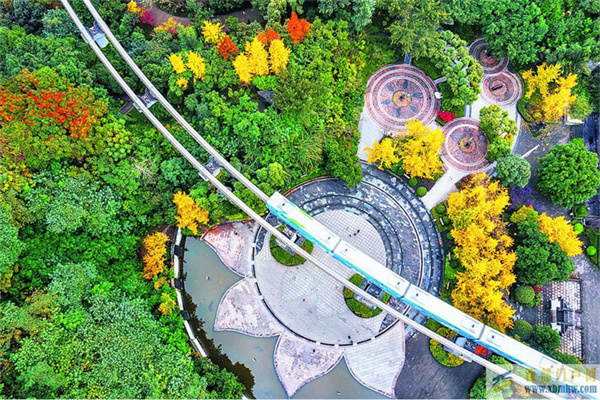 大渡口打造生態宜居公園城市(圖1)