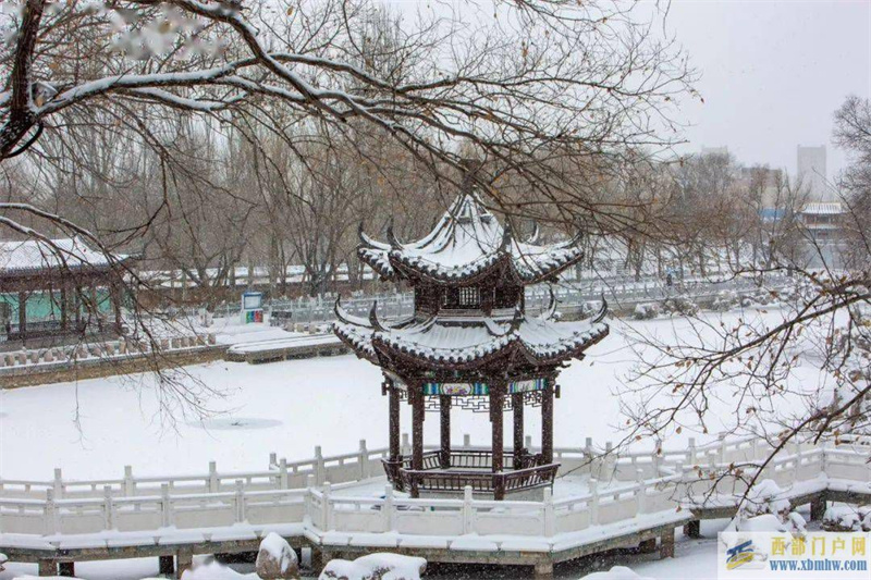 興安盟雪后一“鍵”變裝，這些圖你一定沒看過……(圖1)