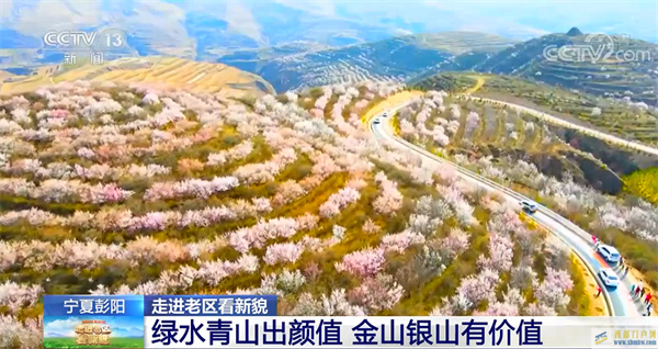 【走進(jìn)老區(qū)看新貌】寧夏彭陽(yáng)：綠水青山出顏值金山銀山有價(jià)值(圖1)