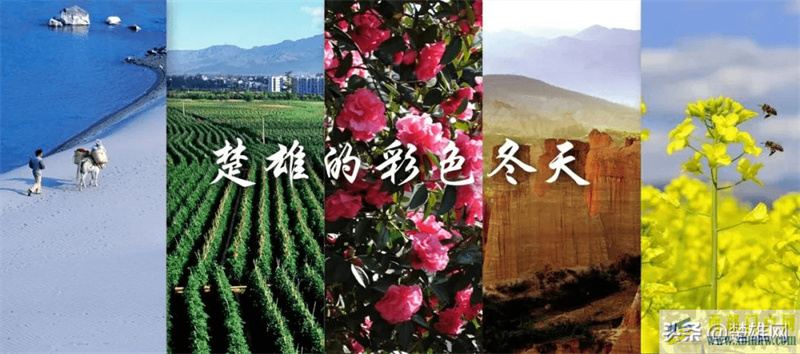 「遇見楚雄」想帶你看楚雄的彩色冬天(圖1)