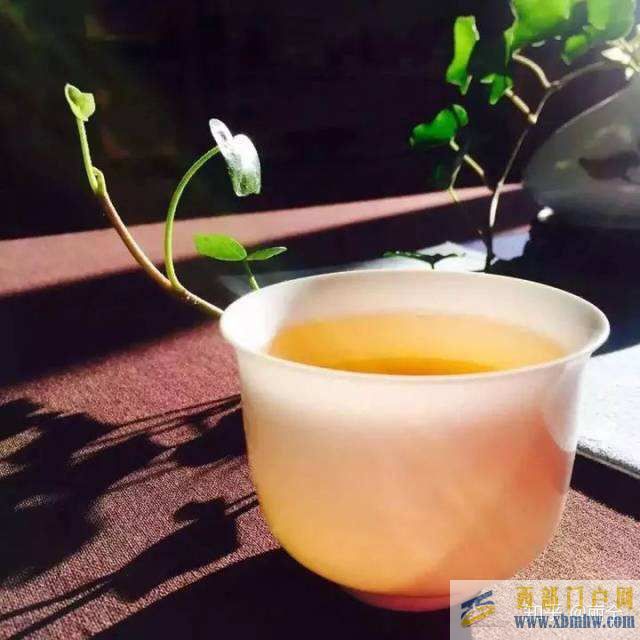 一分鐘讀懂普洱茶定義(圖1)
