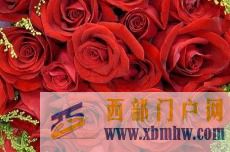 黔南“玫瑰夫妻”打造“美麗產業”(圖1)