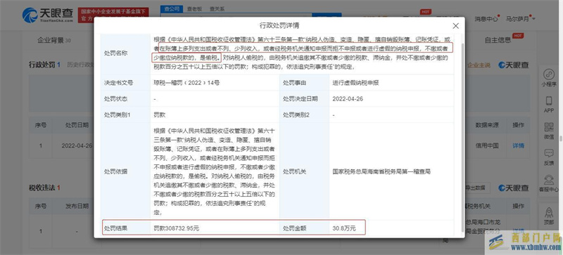 海南一教育科技公司偷逃稅被罰30萬(圖1)