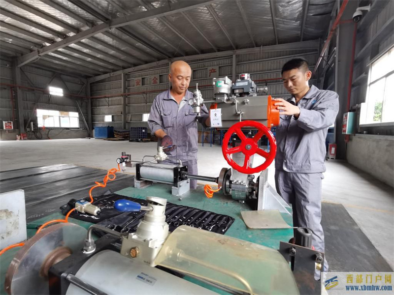 奮進新征程建功新時代·偉大變革｜瓊島良港涌新潮——在海南洋浦感受自貿港建設新動向(圖1)