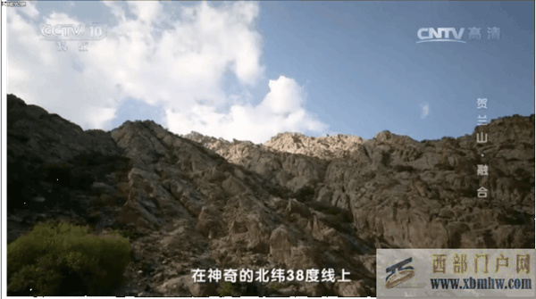 寧夏名酒“5白1紅”,喝過“5白”的人真少,種草“1紅”的人很多(圖1)