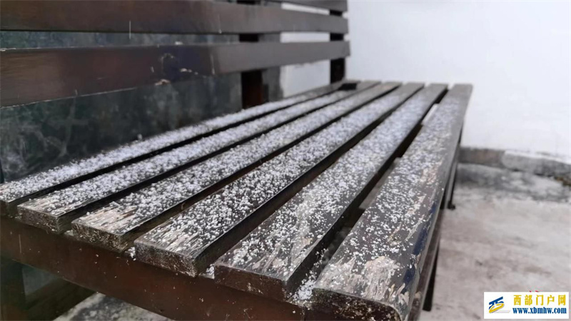 罕見，攀枝花主城區下了“頭皮雪”(圖1)