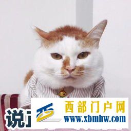 內(nèi)蒙古很美,但也不要忘記這些(圖3)
