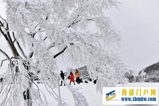 重慶酉陽現(xiàn)雪凇云海似仙境(圖1)