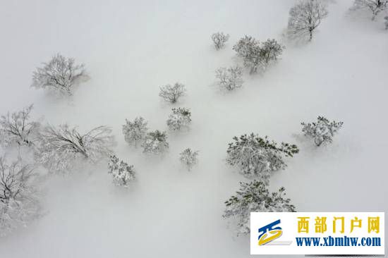 重慶酉陽現(xiàn)雪凇云海似仙境(圖3)