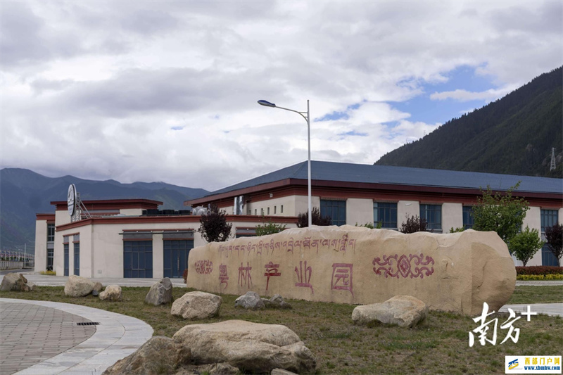 鏈接大灣區(qū)，西藏優(yōu)品飄香海內(nèi)外！廣東援藏助力林芝打產(chǎn)業(yè)生態(tài)閉環(huán)(圖1)